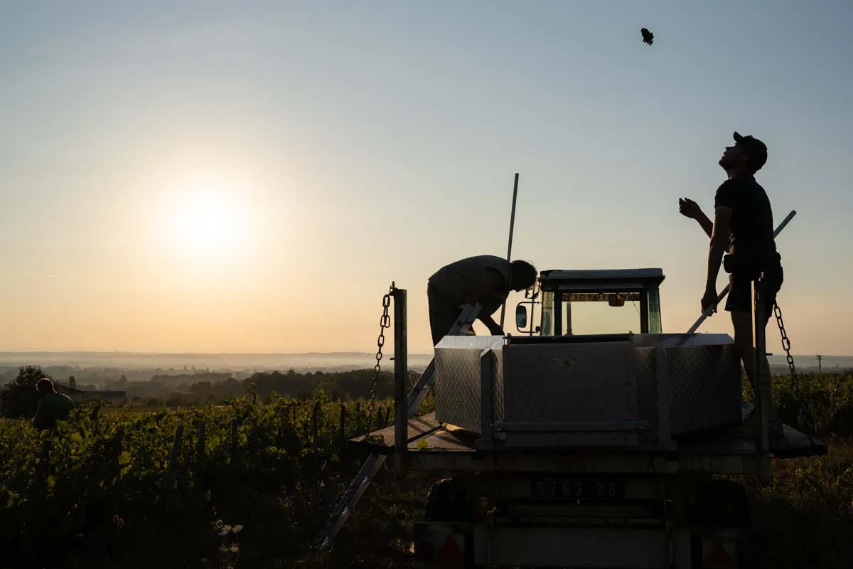 DOMAINE LES GARÇONS