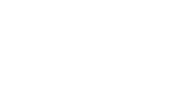 Logo Domaine Les Roches Bleues