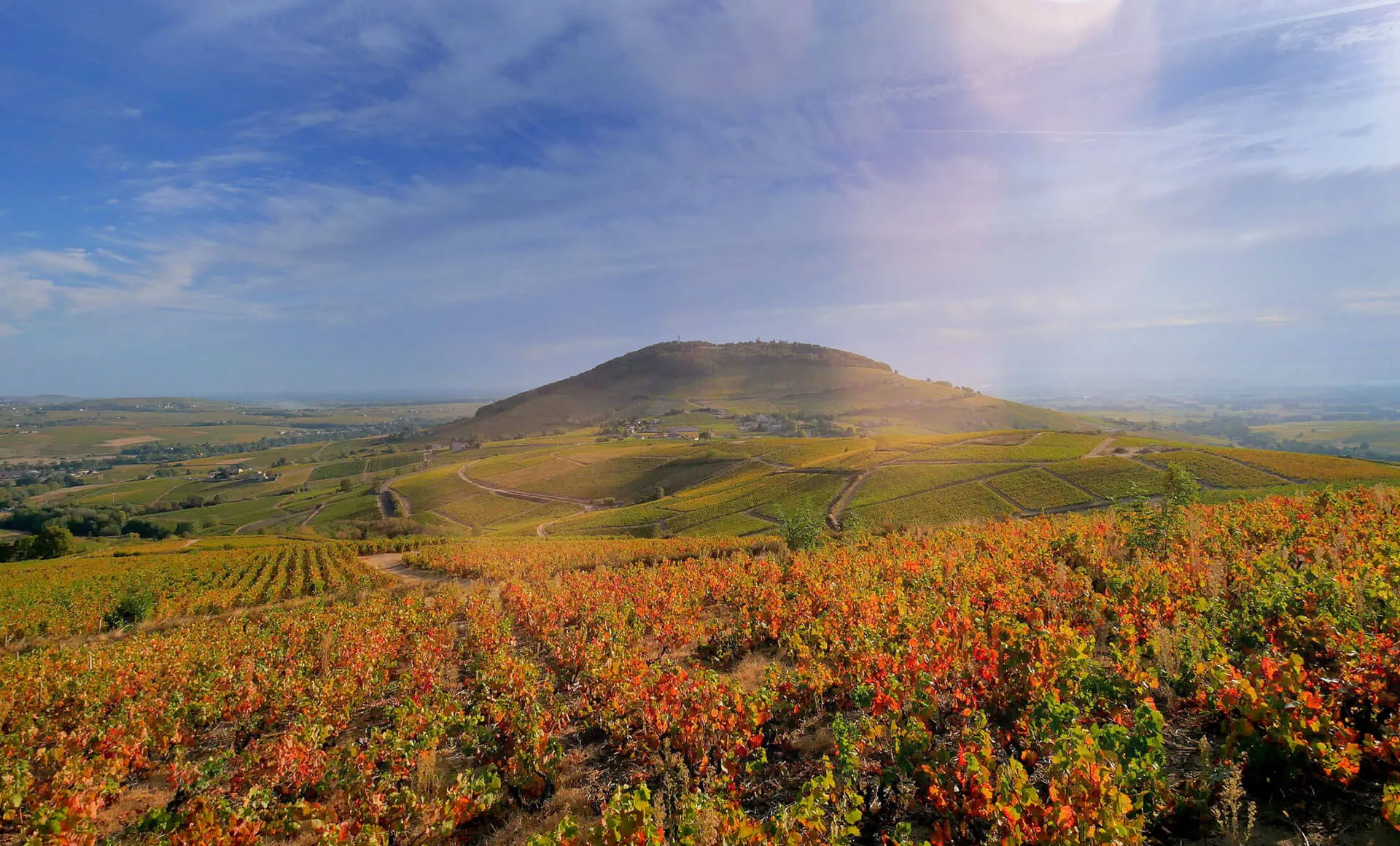 Domaine Les Roches Bleues