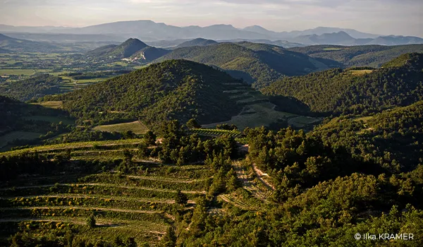 Bandeau Domaine les Teyssonnières