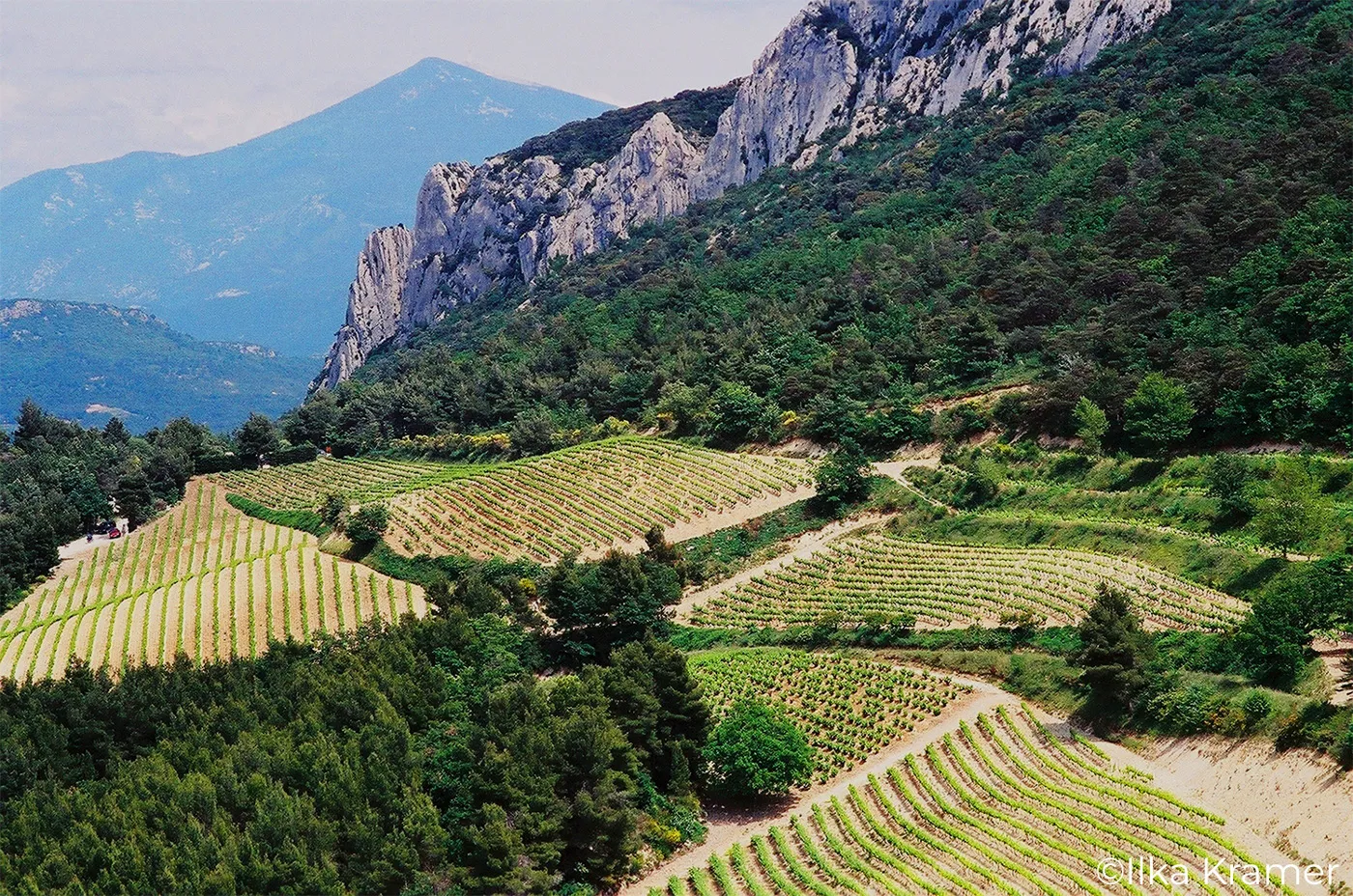 Domaine les Teyssonnières