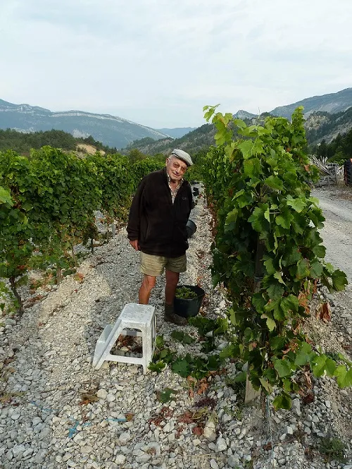 Domaine LONG Sebastien BARSAC