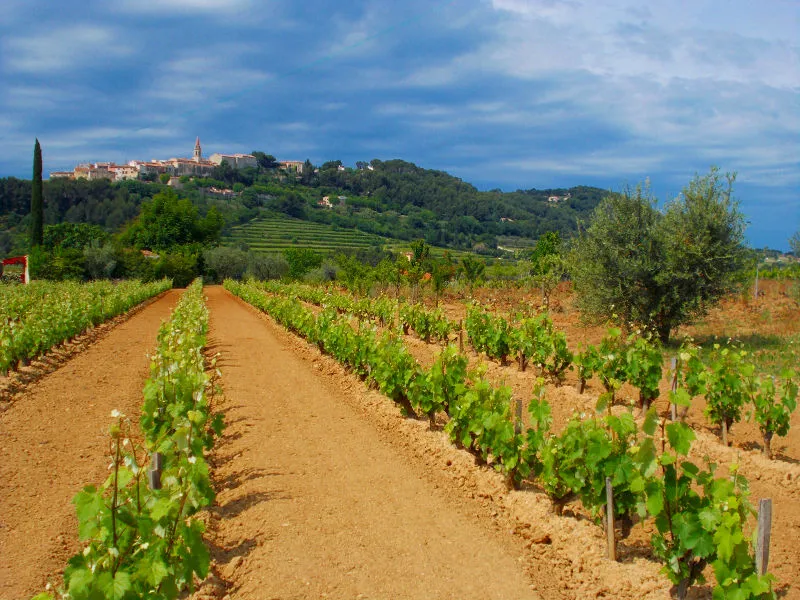 Bandeau Domaine Marie Berenice