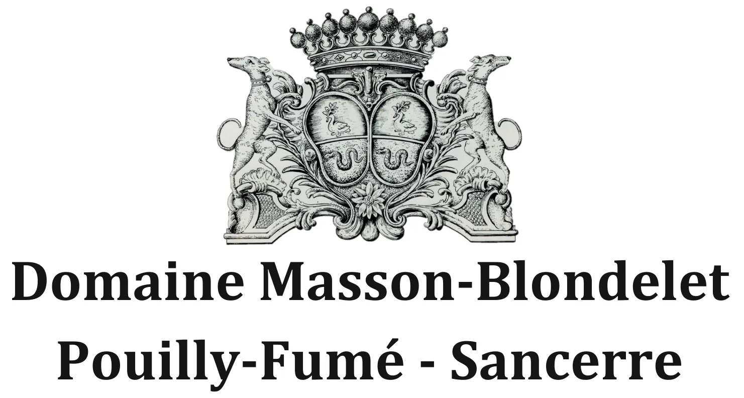 Logo Domaine Masson-Blondelet