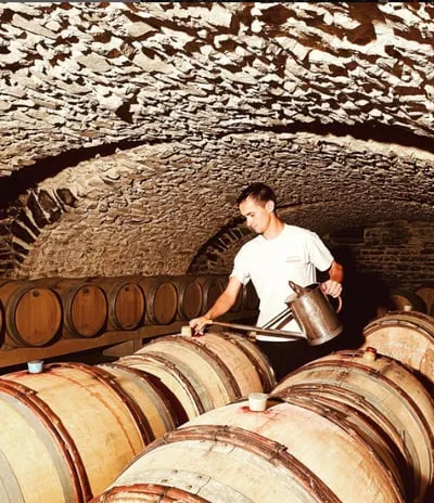 Domaine Melinon Gaétan Mélinon