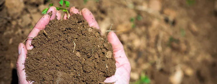 Bandeau Domaine Michel Chavet et Fils