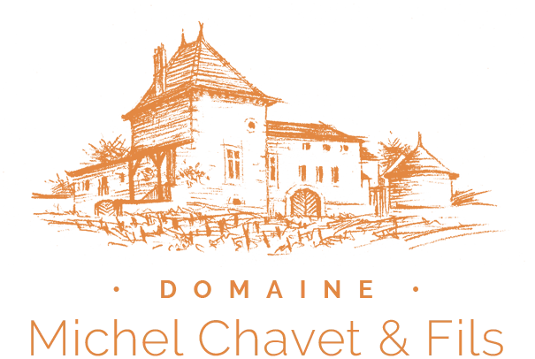 Logo Domaine Michel Chavet et Fils