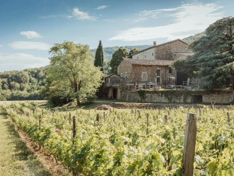 Domaine Mirabel - Rémi Léorat