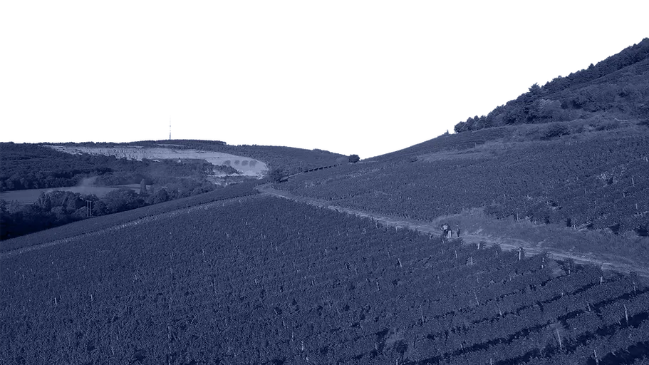 Bandeau Domaine Moë