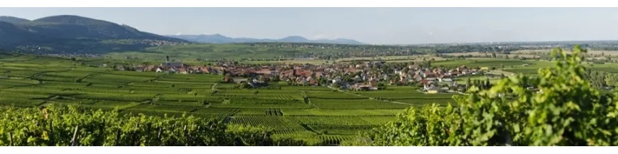 Photo de DOMAINE MOLTES STEPHANIE ET MICKAEL