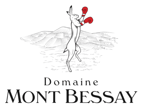 Logo Domaine Mont Bessay Benjamin ROUSSET