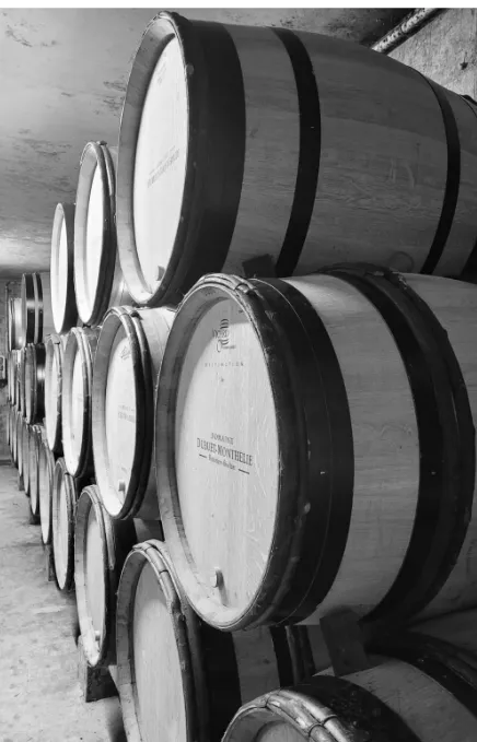 DOMAINE MONTHELIE BENJAMIN