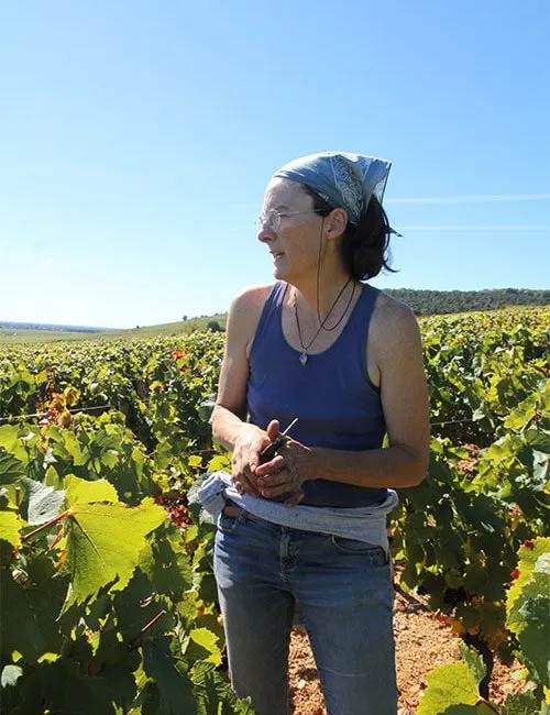 Photo de Domaine Naudin-Ferrand