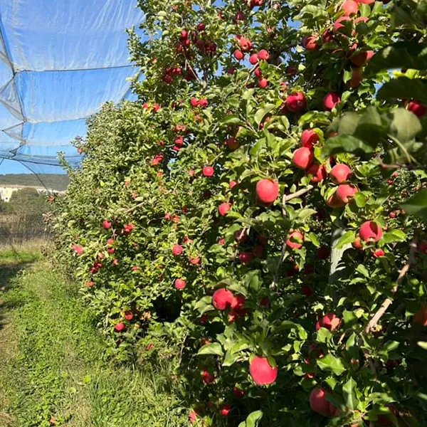 Bandeau Domaine Nosary