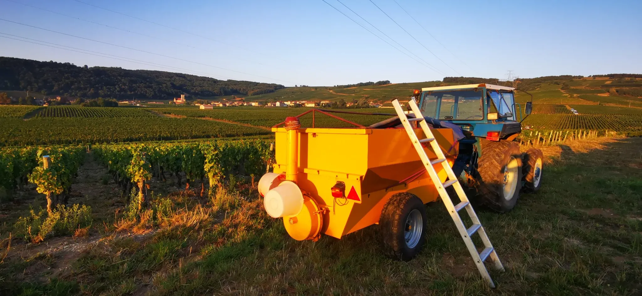 Bandeau Domaine Patrick Bressand