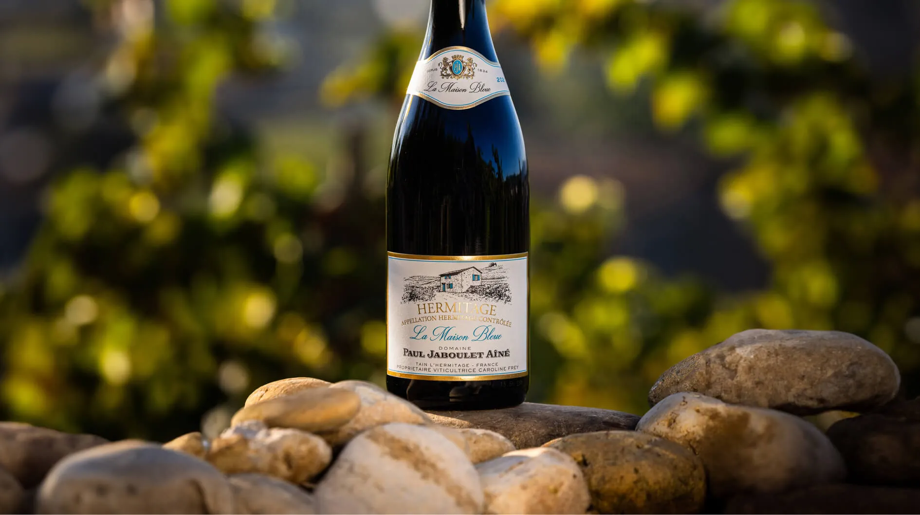 Bandeau Domaine PAUL JABOULET Aîné