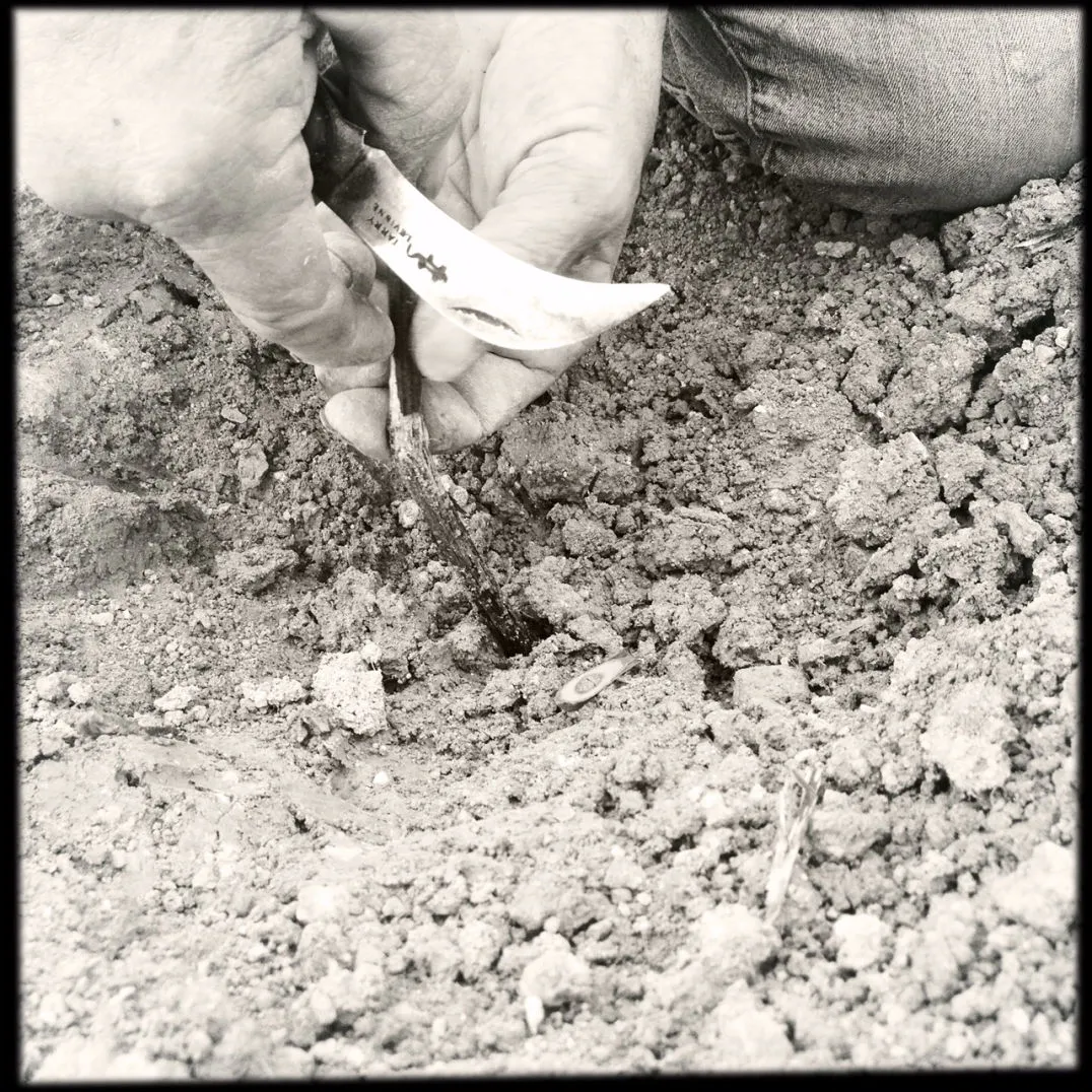 Domaine Pech Del Cel