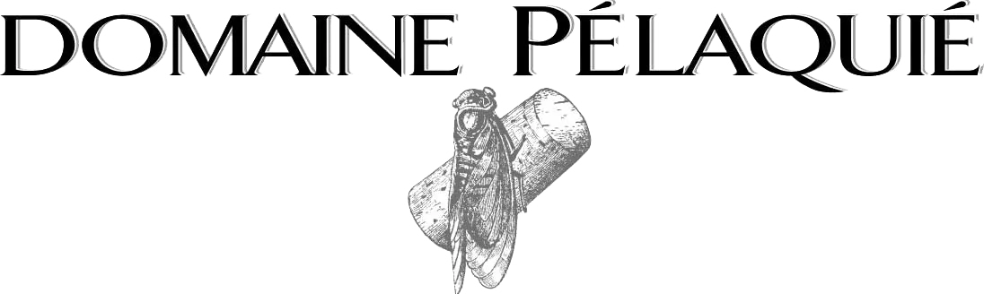 Logo Domaine Pelaquie