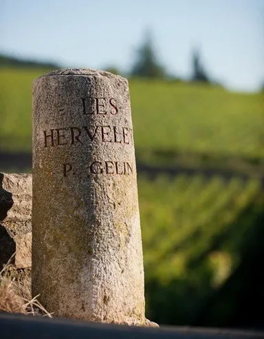 Domaine Pierre Gelin