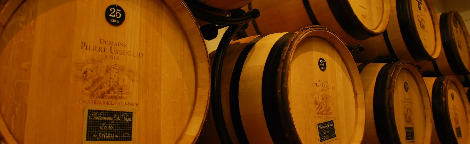 Bandeau Domaine Pierre Usseglio & Fils