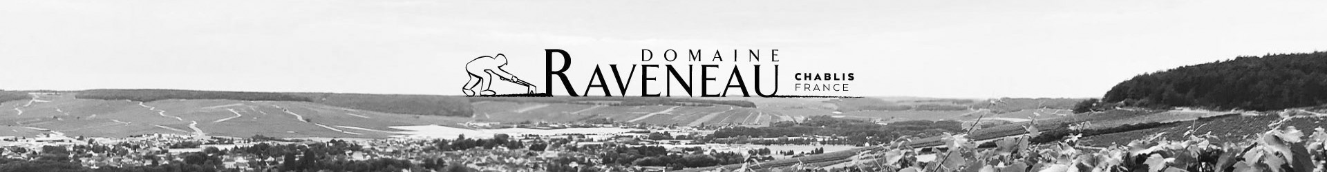 Bandeau Domaine Raveneau