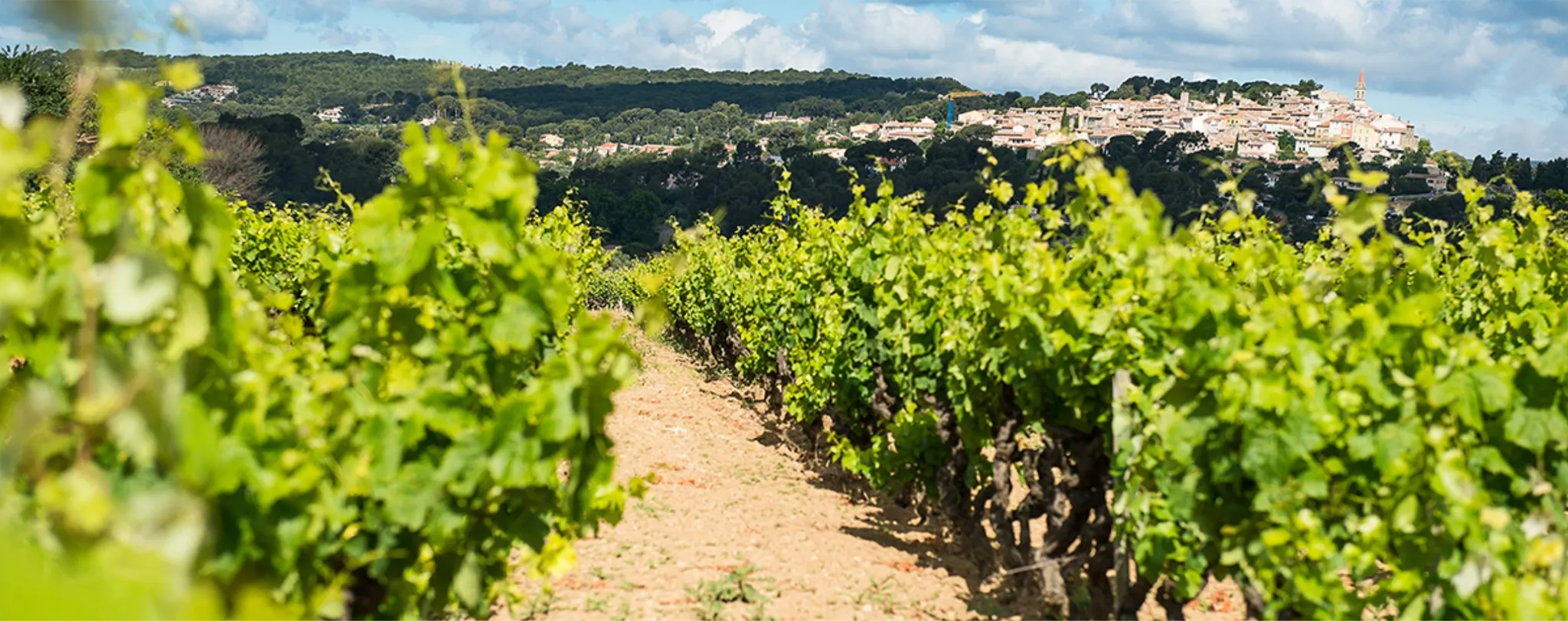 Photo de Domaine Ray Jane