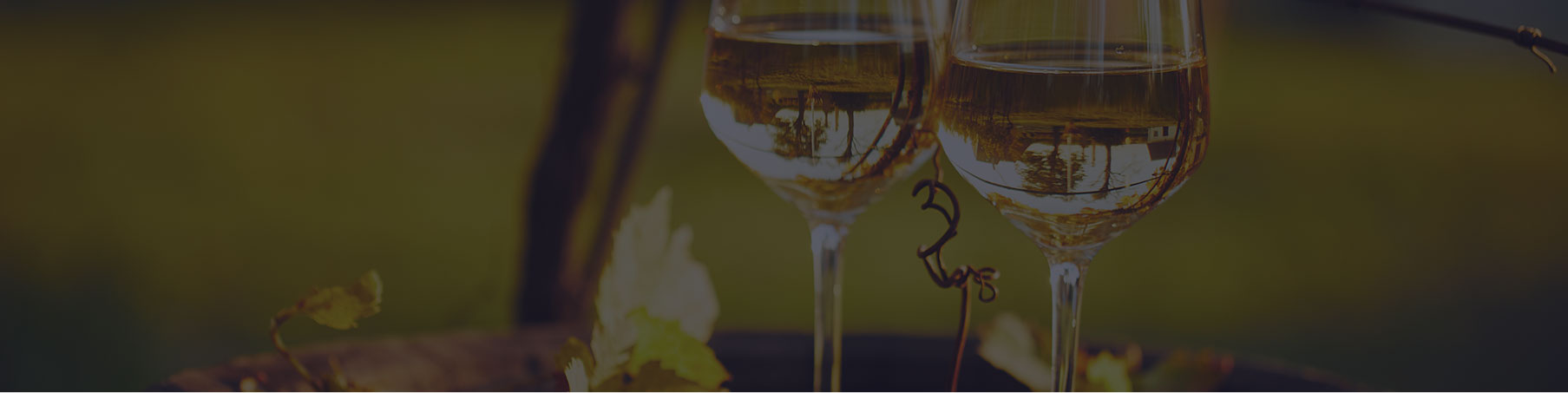 Bandeau Domaine Regnier David