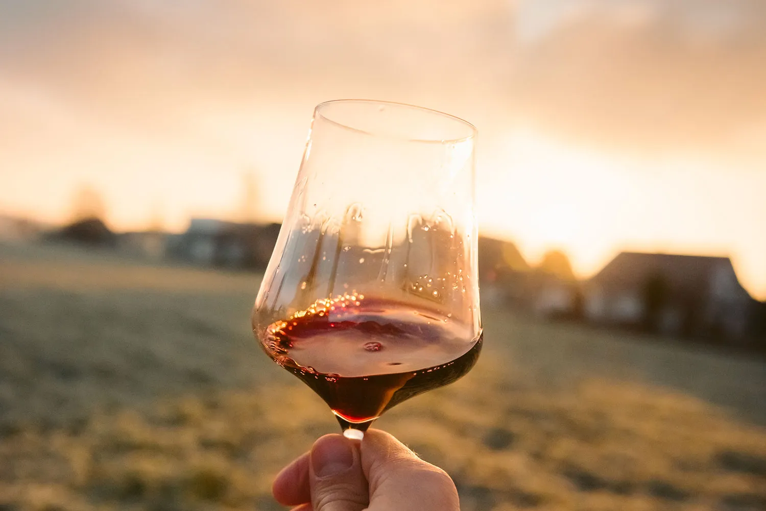 Photo de Domaine René Rieux