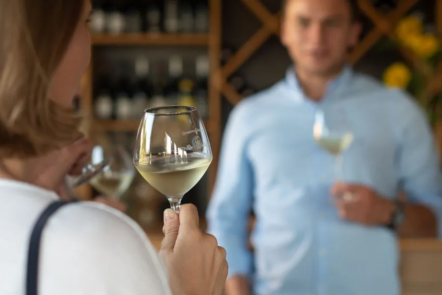 Bandeau Domaine Rivière Laurent & Laurence Gay