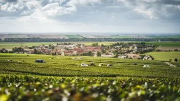 DOMAINE ROCHET-BOCART