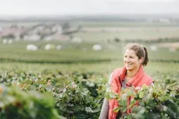 Photo de DOMAINE ROCHET-BOCART