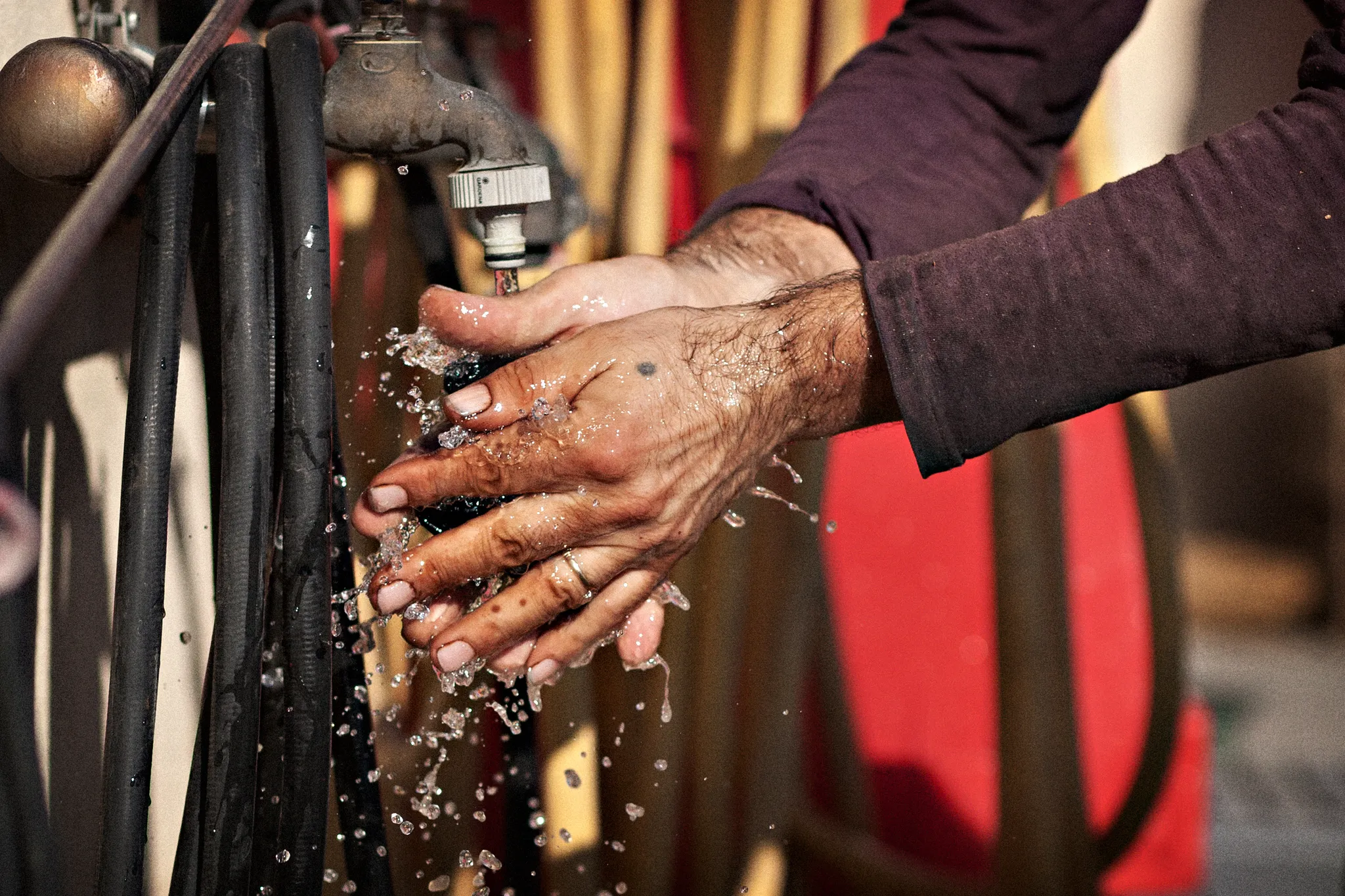 Photo de Domaine Roger Sabon