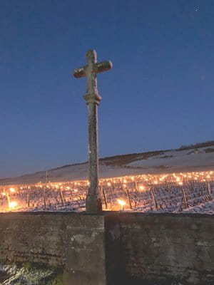 Photo de Domaine de la Romanée-Conti