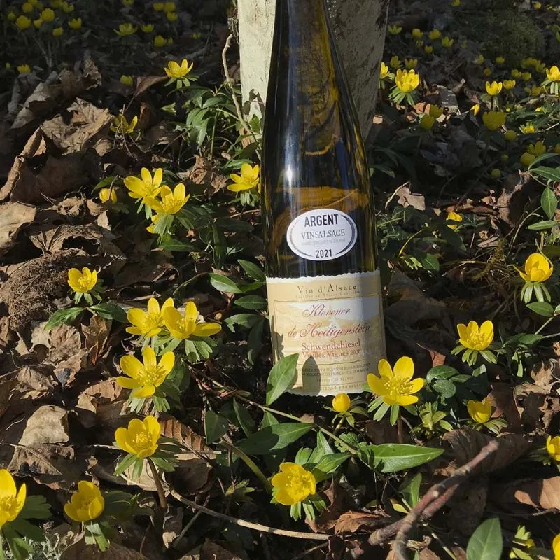 Bandeau DOMAINE RUFF DANIEL