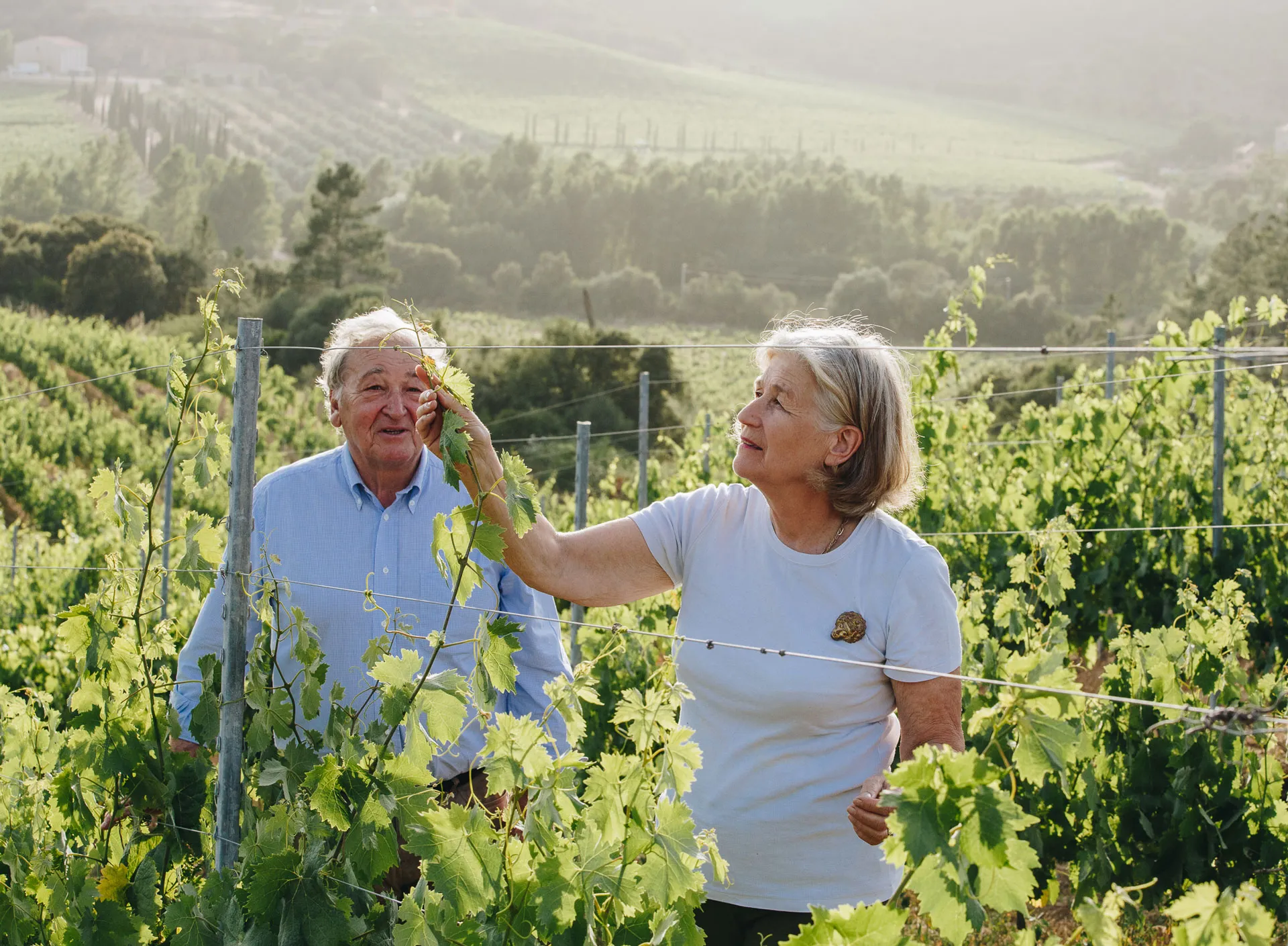 Domaine San Micheli Jean-Paul et Bénédicte PHELIP
