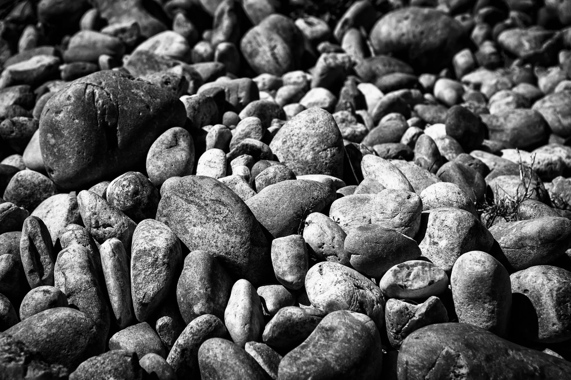 Bandeau Domaine Serguier