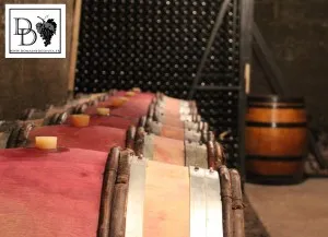 DOMAINE STÉPHANE DE SOUSA