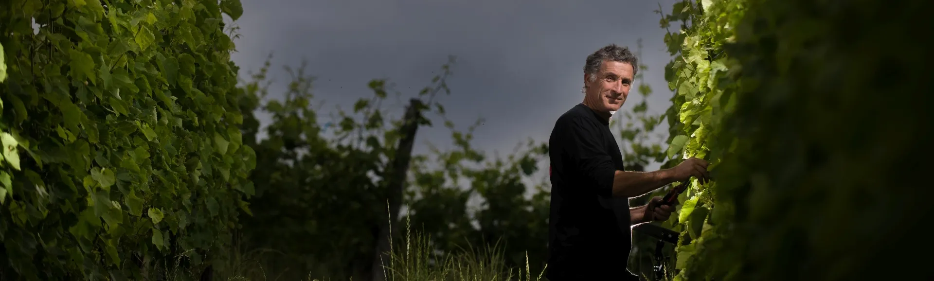 Bandeau DOMAINE TINOU