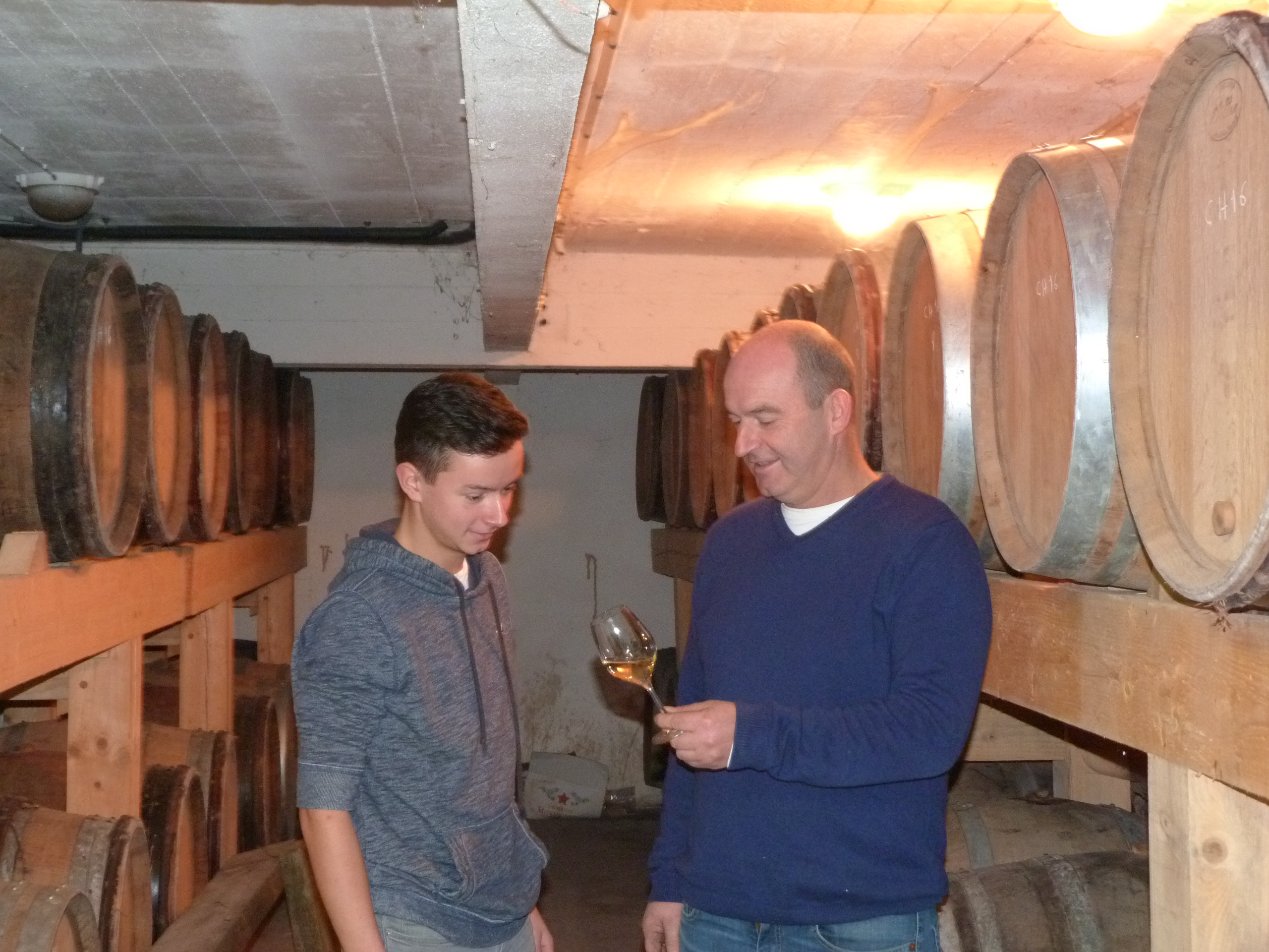 Bandeau Domaine Vapillon