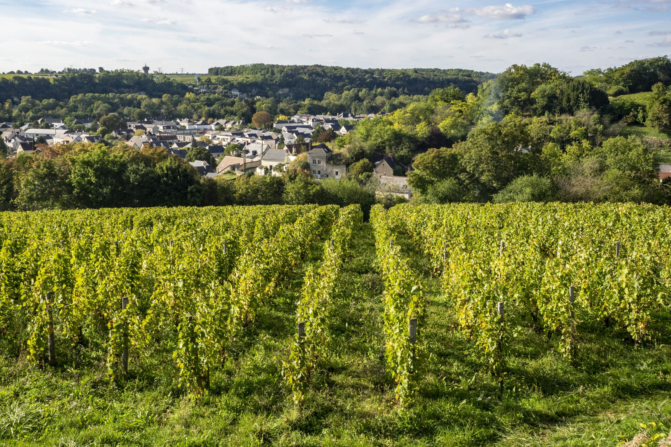 Domaine Vincent Carême