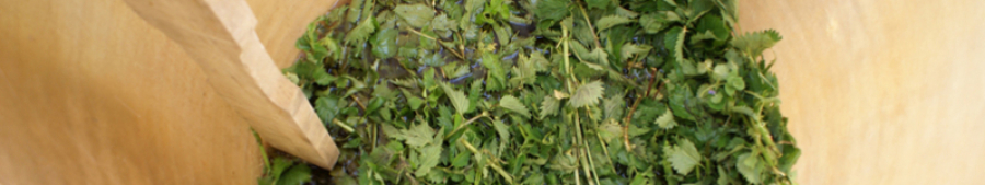 Bandeau Domaine Vincent Couche