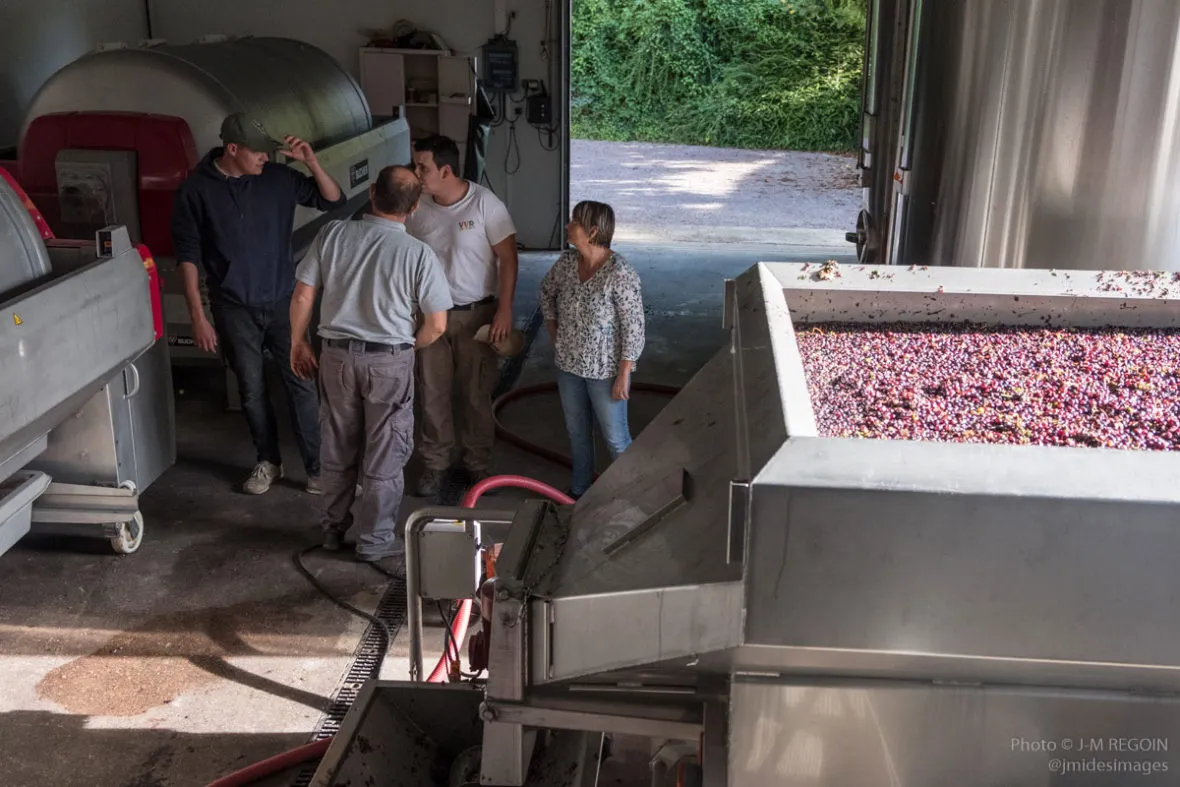 Domaine viticole La Raderie