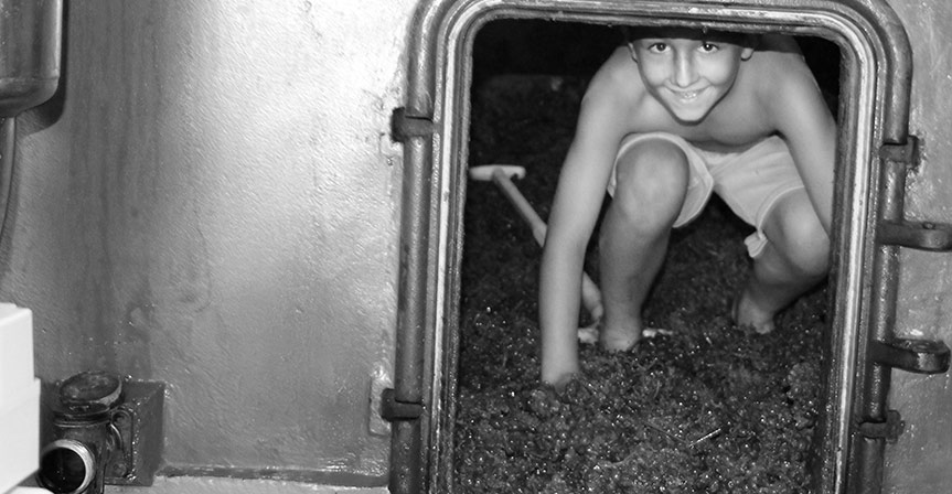 Bandeau Domaine viticole - Le Chatelet – Béatrice Guiet-Petit