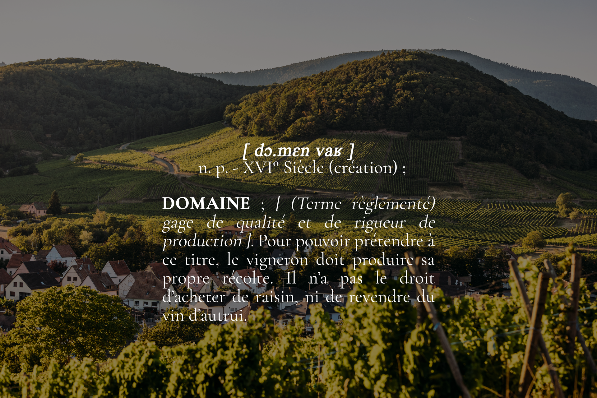 Bandeau Domaine Wach