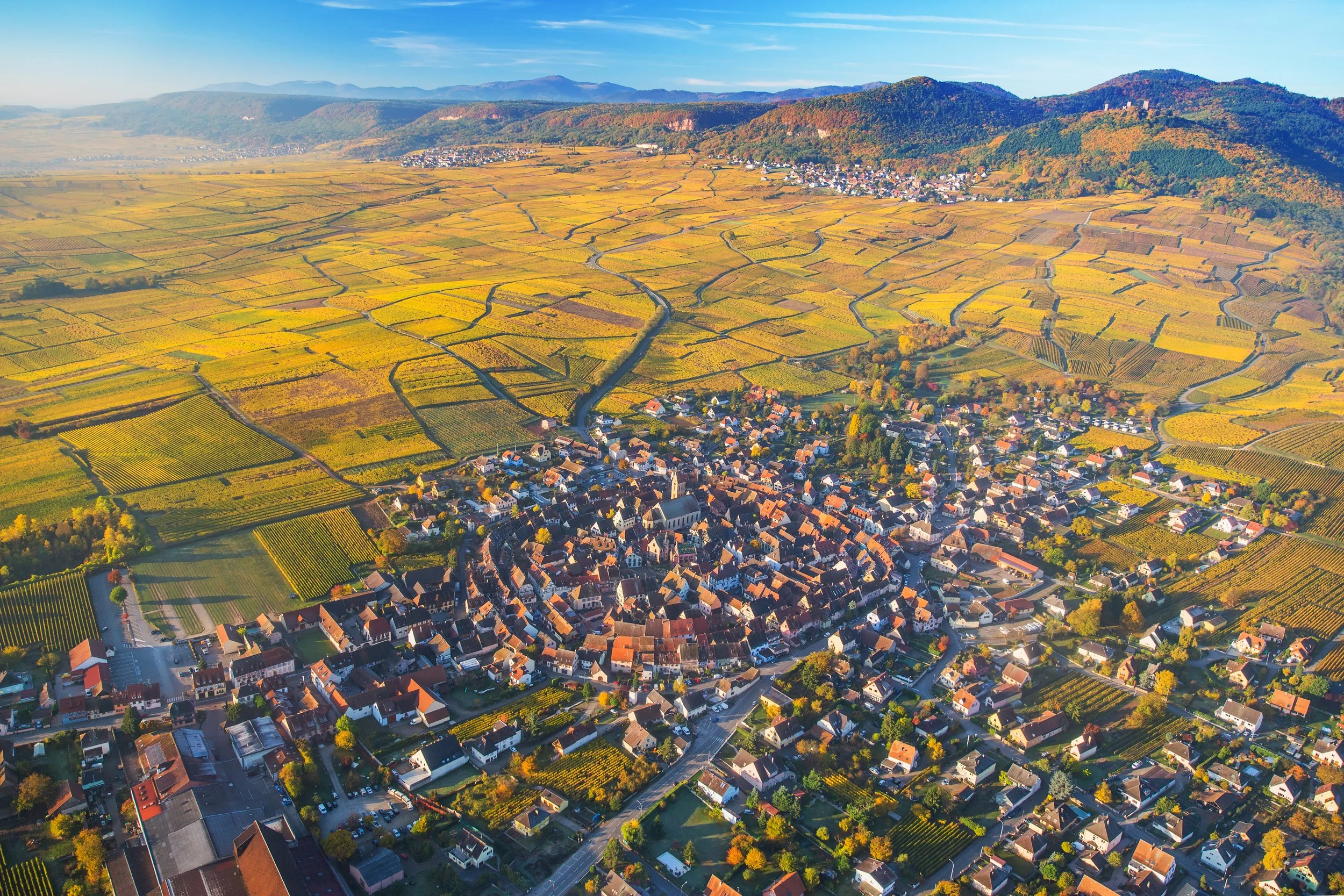 Photo de Domaine Zinck