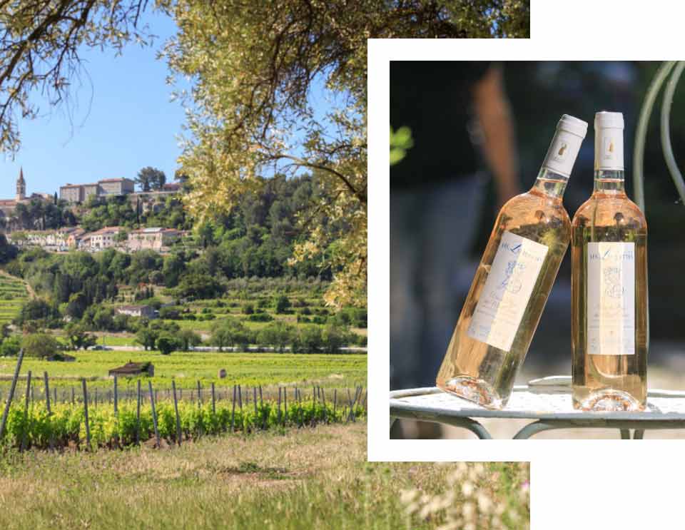 Domaines les Luquettes