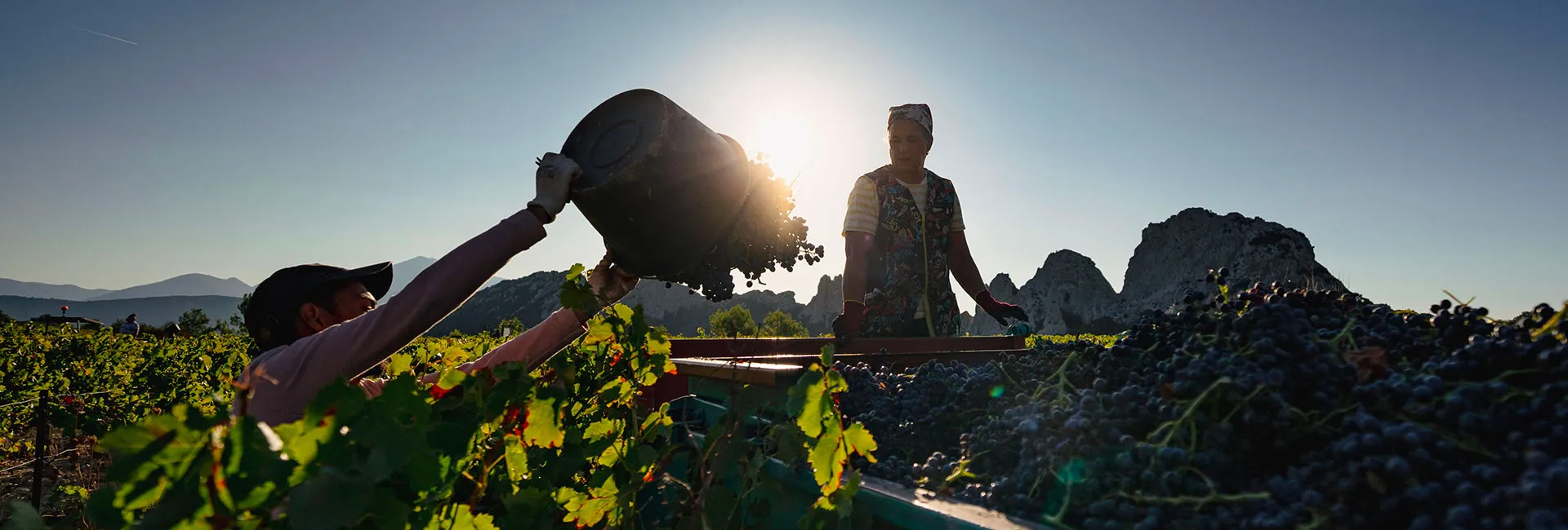 Bandeau Dumoutier Fontségugne Gabriel Rey