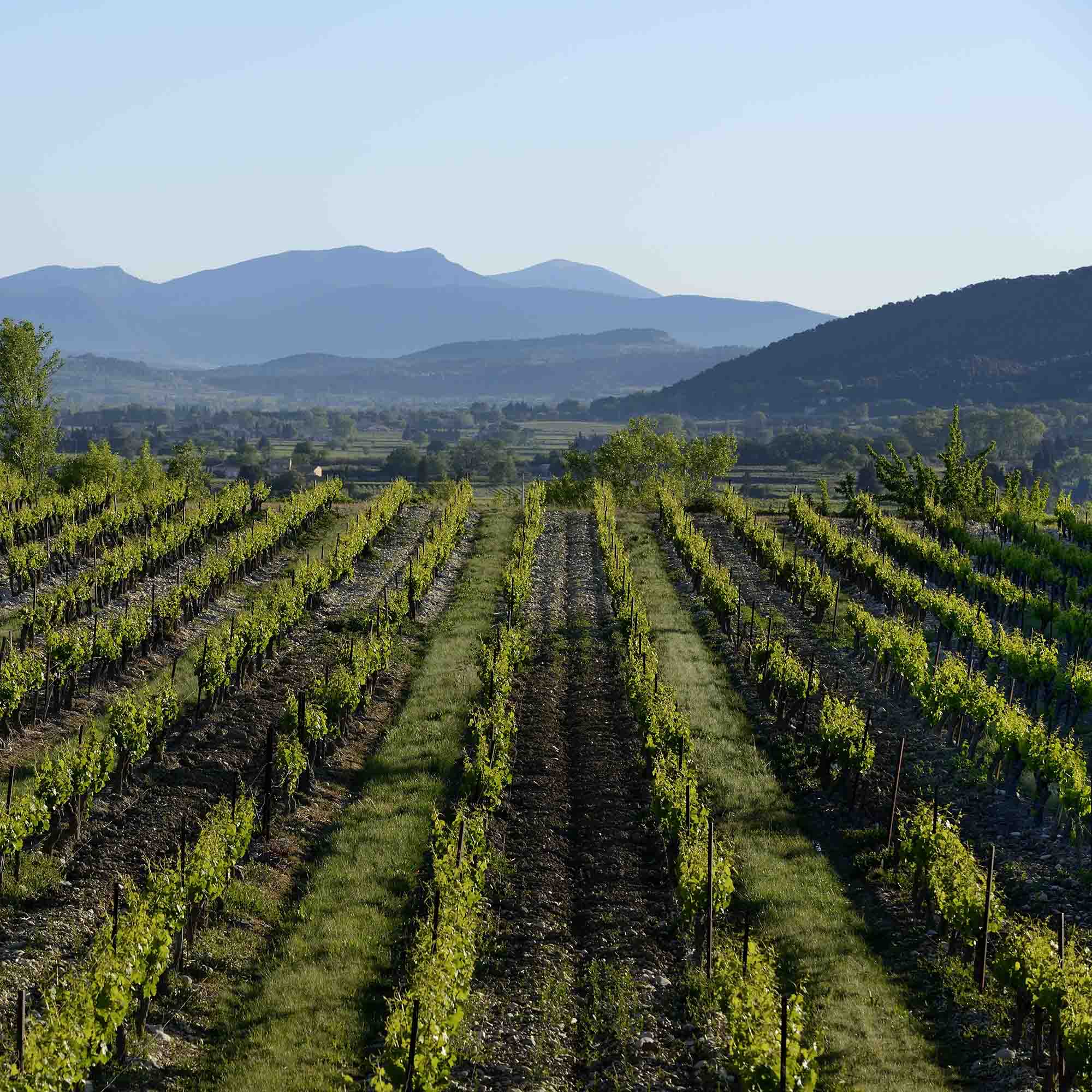 Photo de Dumoutier Fontségugne Gabriel Rey