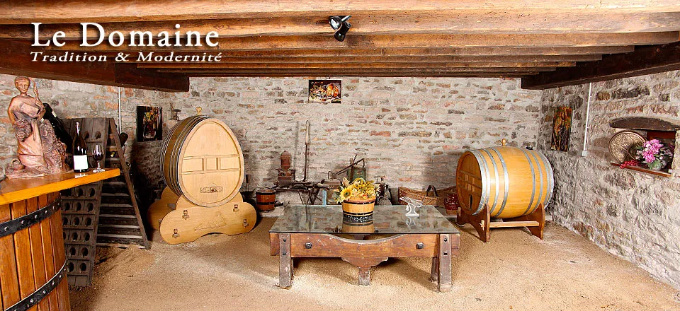 Bandeau Fabienne et Pierre Saint-Arroman