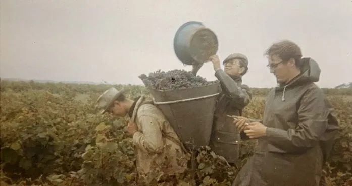 Bandeau Famille Gazeau